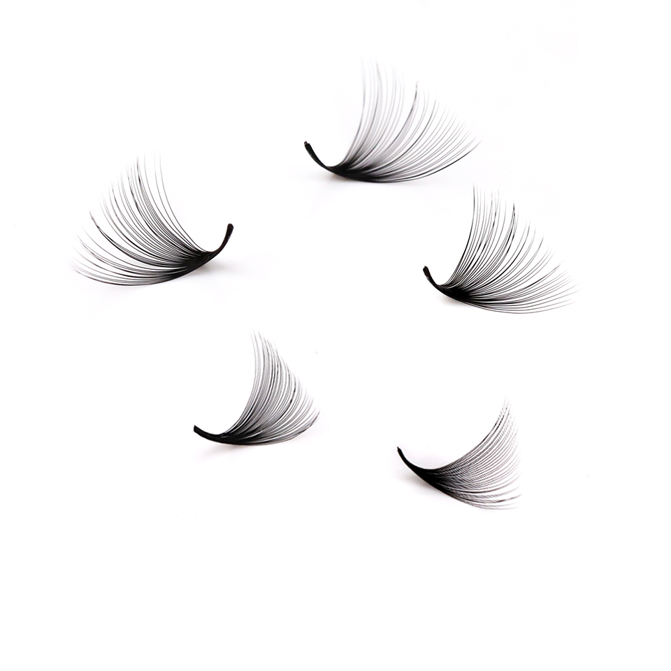 Lashprofessor XL Tray 3D 4D 5D - Eyelash Extension For Asian Eyes ulasan dan harga